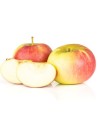 Malus domestica 'James grieve' - Pommier
