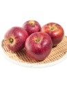 Malus ballerina 'Red Sensation' - Pommier colonne