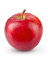Malus domestica 'Melrose' - Pommier