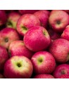 Malus domestica 'Ecolette' - Pommier