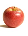 Malus domestica 'Galaxy' - Pommier