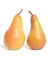 Pyrus communis 'Jules Guyot' - Poirier