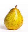 Pyrus communis 'Doyenné de Comice' - Poirier