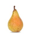 Pyrus communis 'Clapp’s Favorite - Poirier