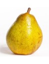 Pyrus communis 'Doyenné de Comice' - Poirier U
