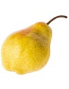 Pyrus communis 'Comtesse de Paris' - Poirier