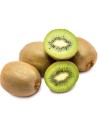 Actinidia deliciosa 'Hayward' - Kiwi femelle