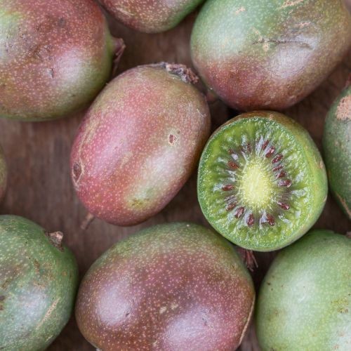 Kiwi Arguta Ken’s Red