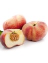 Prunus persica 'Saturne' - Pêche plate blanche