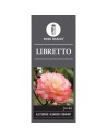 Rosa 'Libretto' - Rosier grimpant