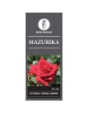 Rosa 'Mazurika' - Rosier