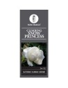 Rosa 'Snow Princess' - Rosier