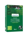 Gazon Umbra Royal