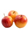Malus domestica 'Royal Gala' - Pommier en U