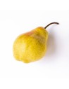 Pyrus communis 'Comtesse de Paris' - Poirier