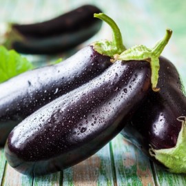 Aubergine allongée