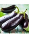 Aubergine allongée
