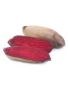 Betterave rouge allongée