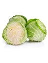 Chou blanc