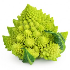 Chou romanesco