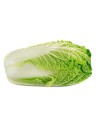 Chou chinois vert