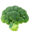 Chou Brocoli