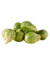Chou de Bruxelles