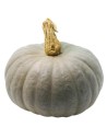 Courge bleue de Hongrie