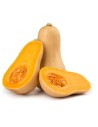 Courge Butternut