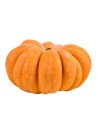 Courge d’estampe