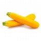 Courgette jaune