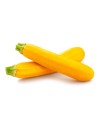 Courgette jaune