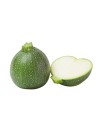 Courgette rondini