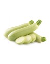 Courgette verte claire/blanche