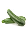 Courgette verte