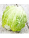 salade iceberg