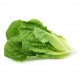 salade laitue romaine