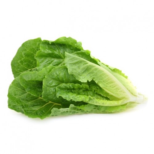 salade laitue romaine