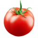 Tomate ronde