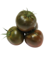 Tomate cerise noire