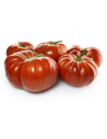 Tomate master charnue