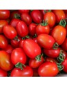 Tomate röteli de bâle
