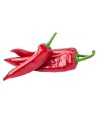 Piment de cayenne