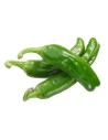 Piment de padron