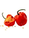 Piment de habanero