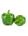 Poivron vert