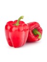 Poivron rouge