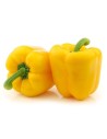 Poivron jaune