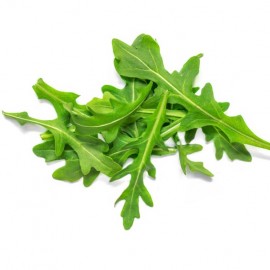 Rucola