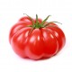 Tomate Supersteack